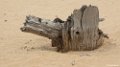 2017-08-10 Loonse en Drunense Duinen